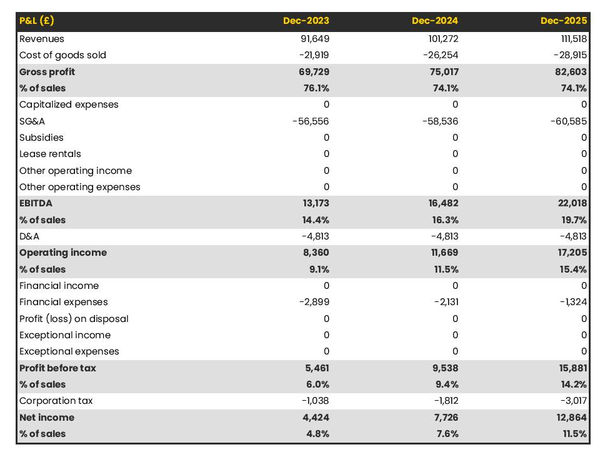 luxury picnic business projected profit and loss statement