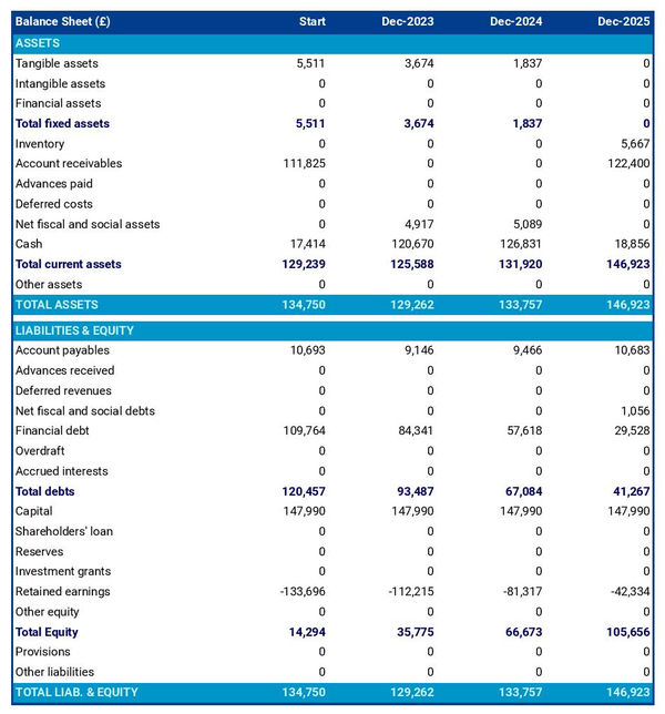 example of technology consulting company projected balance sheet
