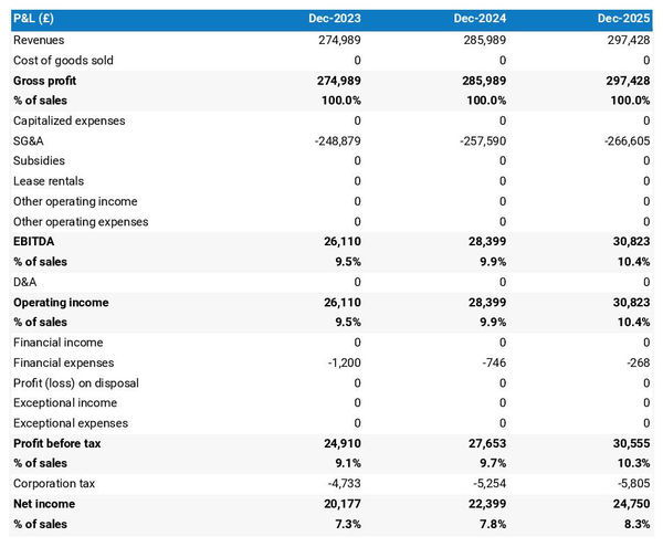 projected fintech company income statement