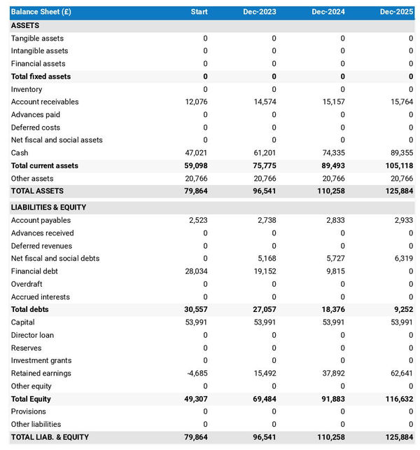 financial projections: fintech company balance sheet example