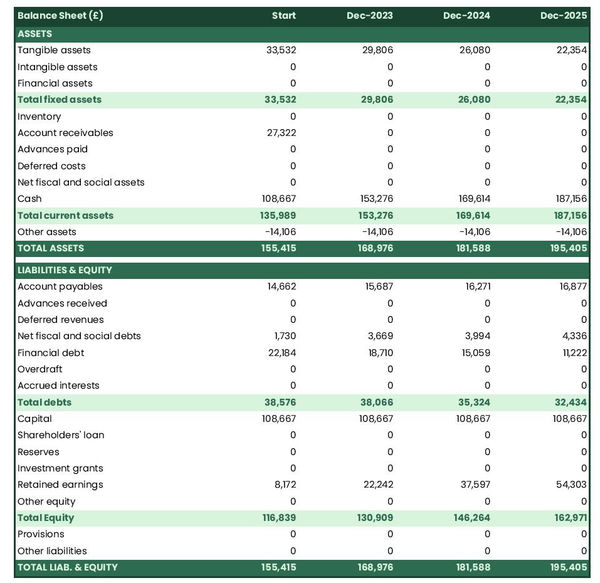 financial projections: ski equipment rental company balance sheet example
