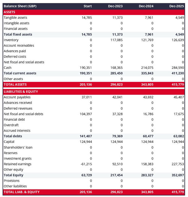 financial projections: photography school balance sheet example