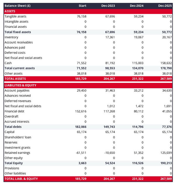 financial forecast: theme park balance sheet example