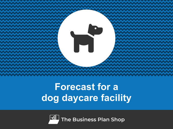 dog daycare facility financial forecast