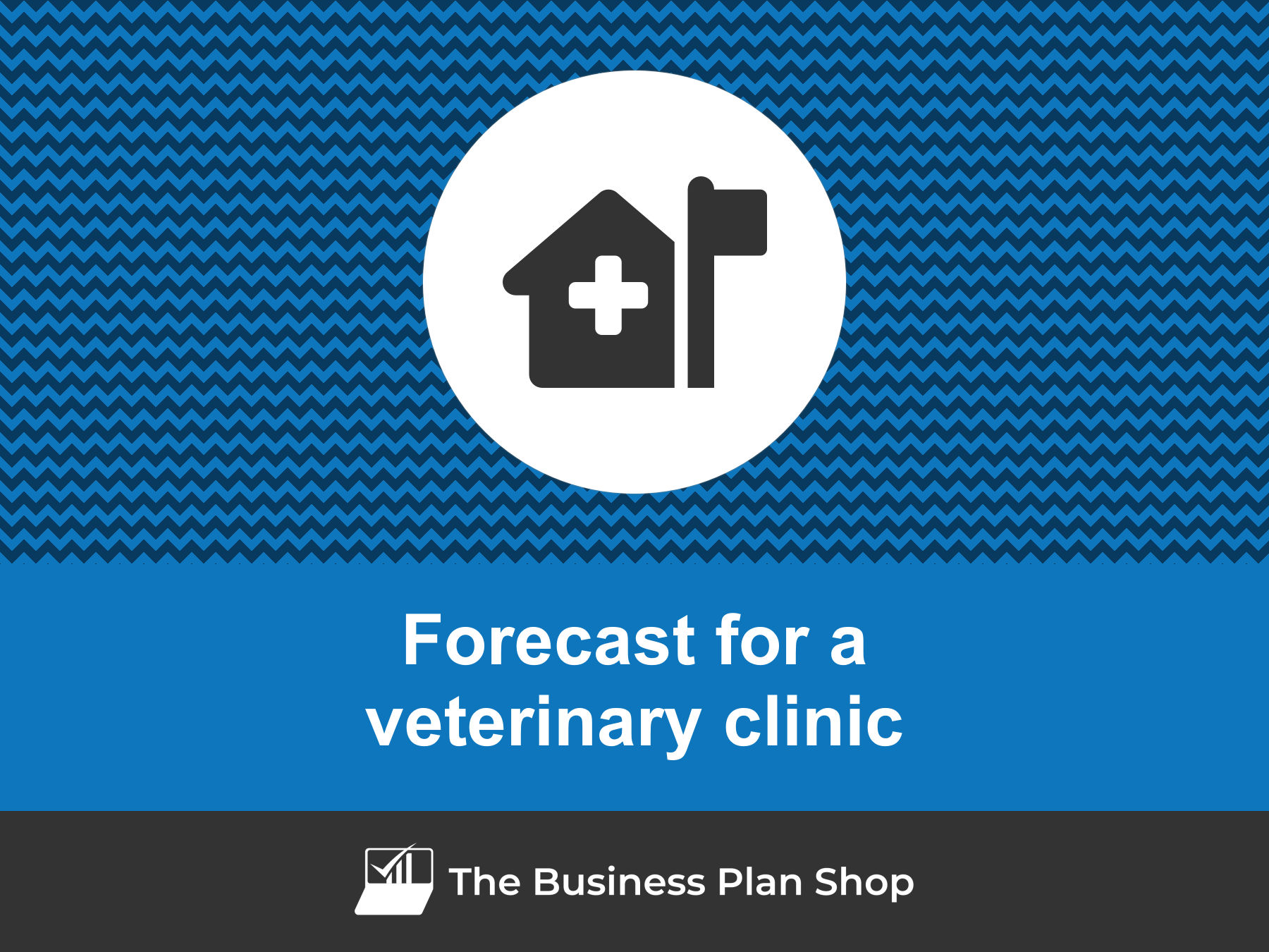 How to create a veterinary clinic financial forecast?