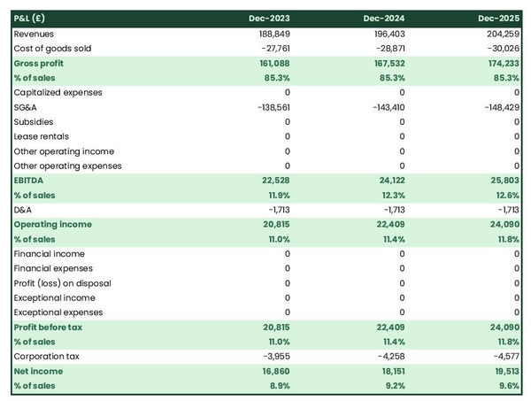 projected image consulting firm income statement