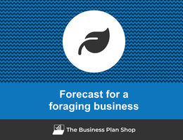 Financial forecast for a foraging business