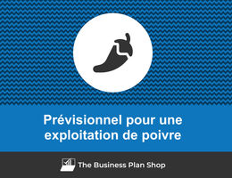 Prévisionnel financier d'une exploitation de poivre