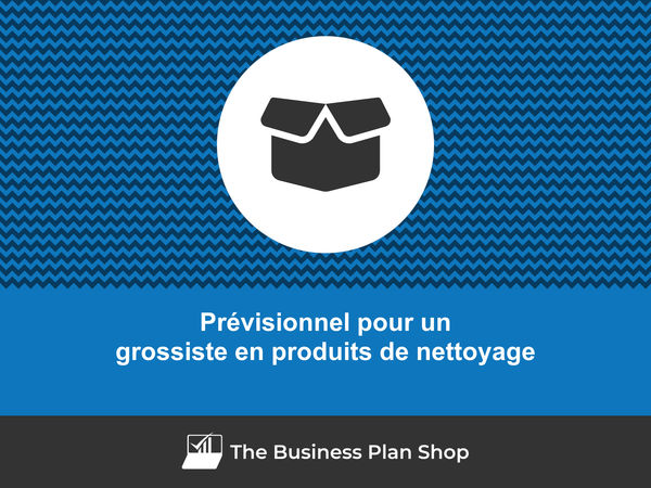 grossiste en produits de nettoyage prévisionnel financier