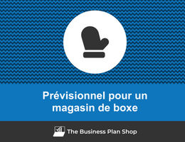 Prévisionnel d'un magasin de boxe