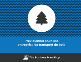 Prévisionnel financier d'une entreprise de transport de bois