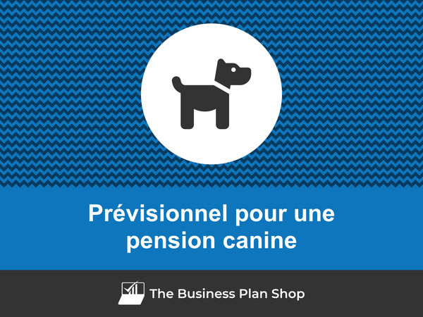 pension canine prévisionnel financier