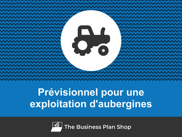 exploitation d'aubergines prévisions financières