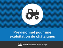 Prévisionnel financier d'une exploitation de châtaignes