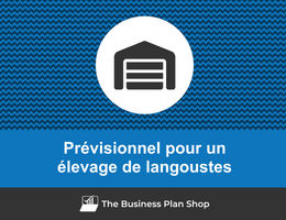 Prévisionnel financier d'un élevage de langoustes