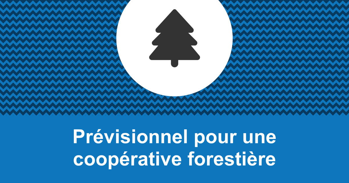 Faire le prévisionnel d'une coopérative forestière