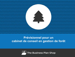 Prévisionnel financier de cabinet de conseil en gestion de forêt