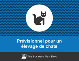 Prévisionnel financier d'un élevage de chats