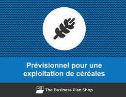 Prévisionnel financier d'une exploitation de céréales