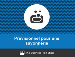Prévisionnel financier de savonnerie