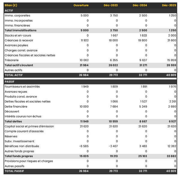 exemple de bilan prévisionnel de fabricant de poupées 