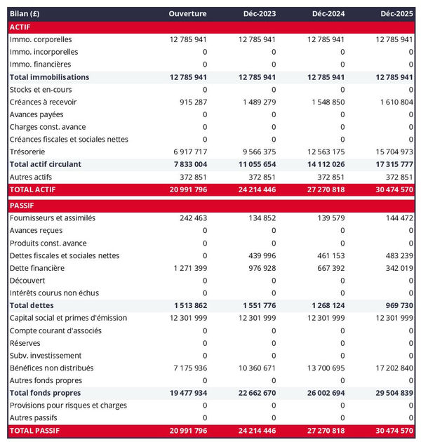 exemple de bilan d'entreprise de dépollution dans un prévisionnel
