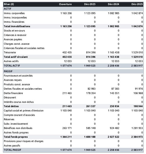 exemple de bilan d'entreprise de maçonnerie dans un prévisionnel