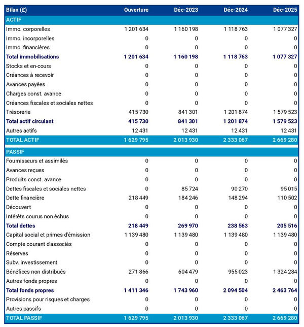exemple de bilan prévisionnel de marchand de biens immobiliers