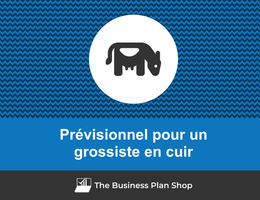 Prévisionnel financier de grossiste en cuir