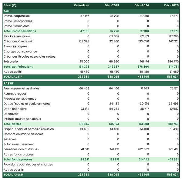 bilan prévisionnel de grossiste en poudre de cacao 