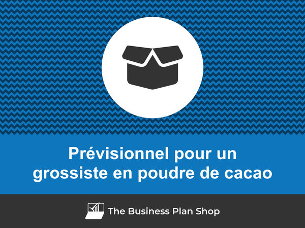 grossiste en poudre de cacao prévisionnel financier