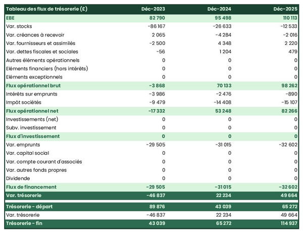 prévisionnel de trésorerie de magasin d'informatique