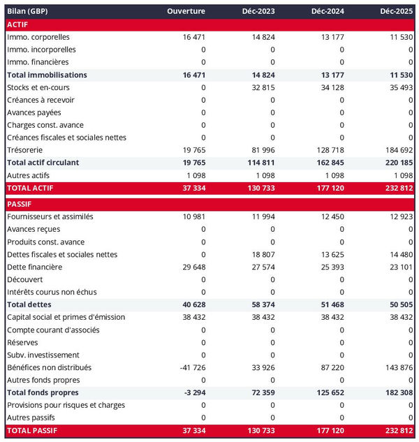 exemple de bilan prévisionnel de magasin de produits d'occasion