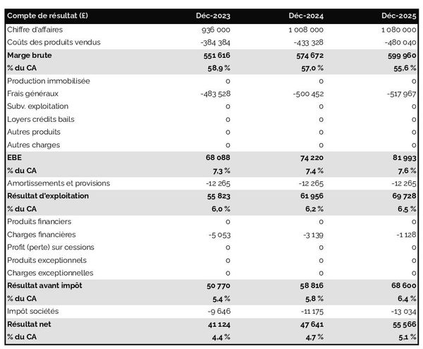 exemple de compte de résultat prévisionnel de boutique de décoration