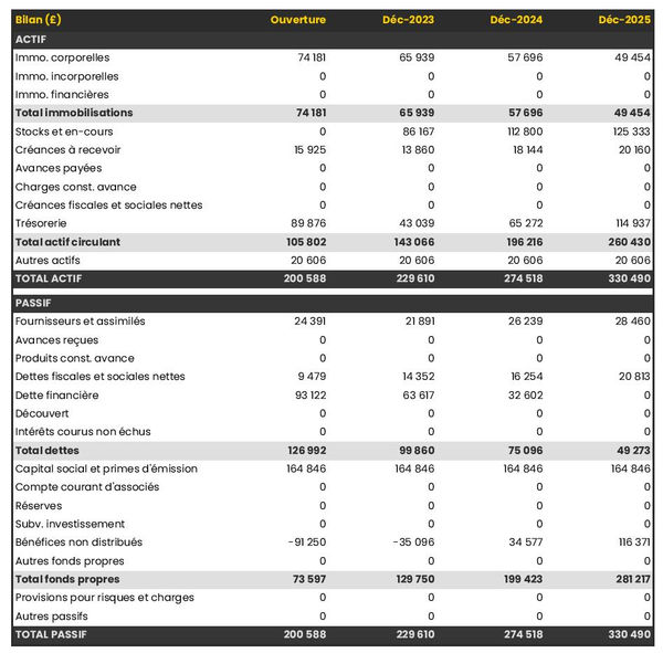 exemple de bilan de magasin de musique dans un prévisionnel