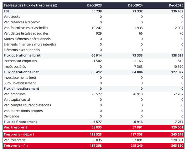 tableau de trésorerie prévisionnelle d'entreprise de chauffeur privé