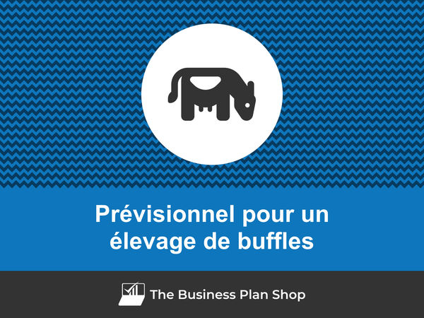 élevage de buffles prévisionnel