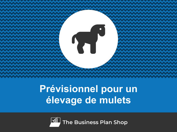 élevage de mulets prévisions financières