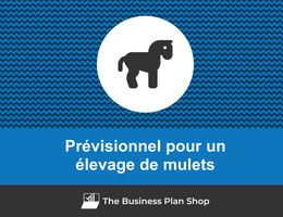Prévisionnel financier d'un élevage de mulets