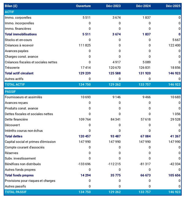 bilan prévisionnel d'entreprise de traitement des données