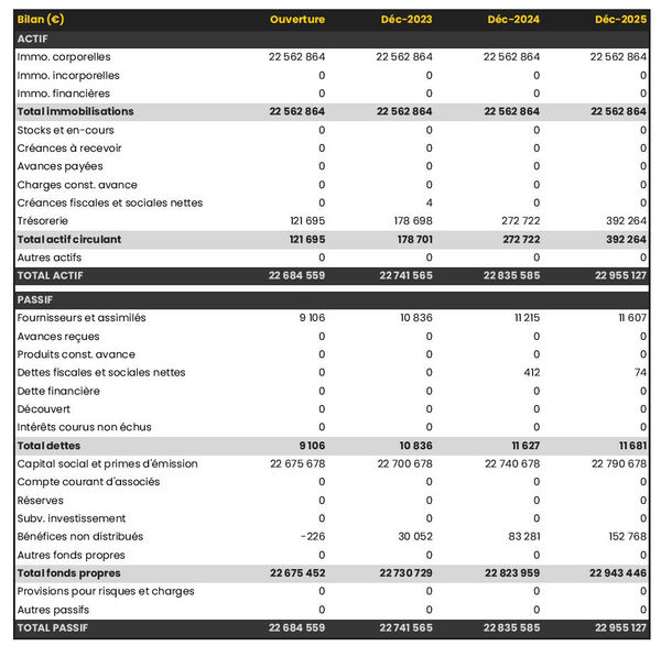 exemple de bilan prévisionnel de cabinet de courtage en financement