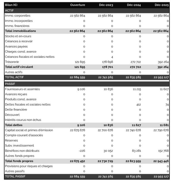 exemple de bilan de société de gestion de fonds dans un prévisionnel