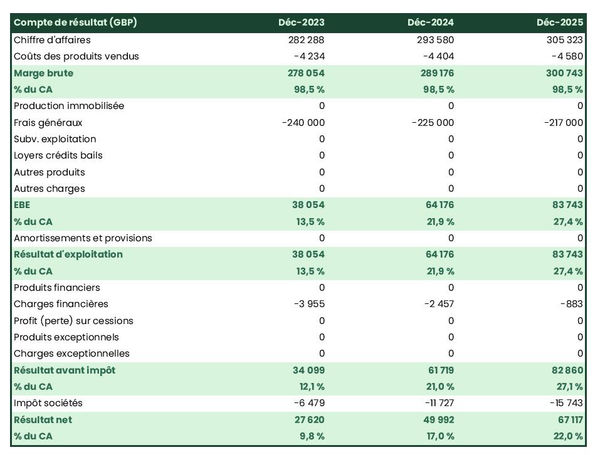 prévisionnel d'agence d'optimisation des réseaux sociaux : compte de résultat