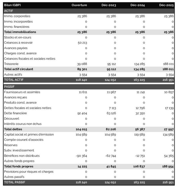exemple de bilan prévisionnel d'agence de représentation média 