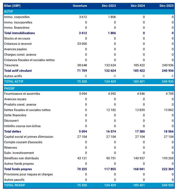 bilan prévisionnel d'organisme de recherche en politiques 