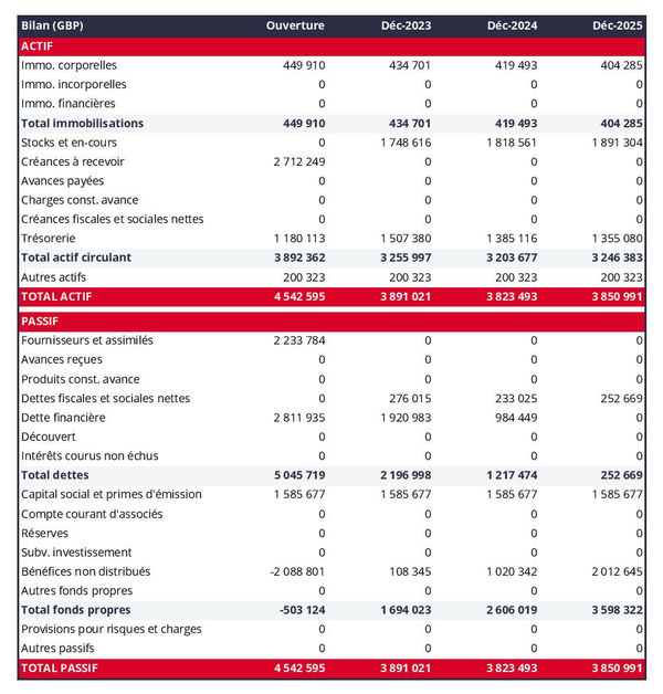exemple de bilan prévisionnel d'entreprise de location de quads 
