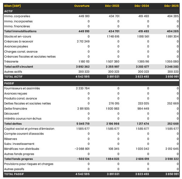 exemple de bilan prévisionnel d'entreprise de location de surfs 