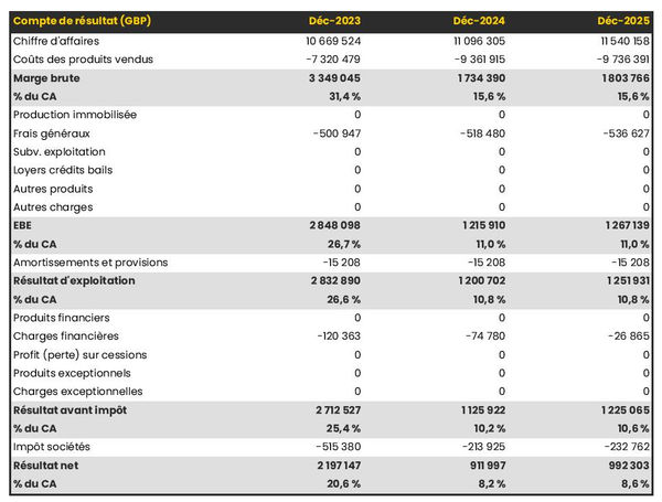 entreprise de location de surfs : compte de résultat prévisionnel