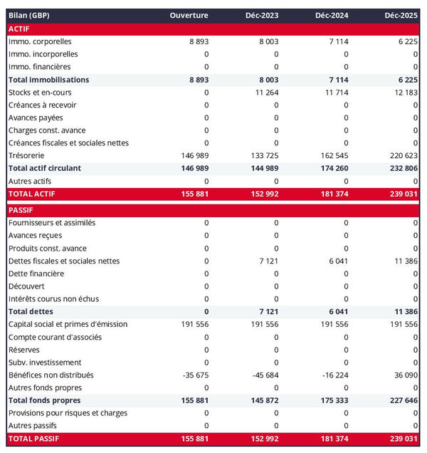 bilan prévisionnel d'entreprise de transport par VSL