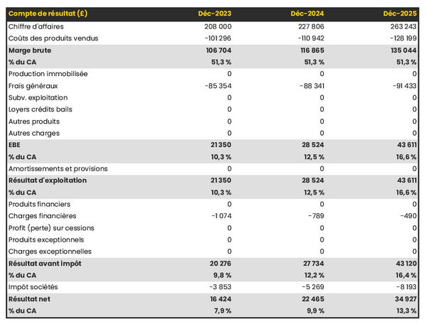 exemple de compte de résultat prévisionnel d'agence de réservation de spectacles